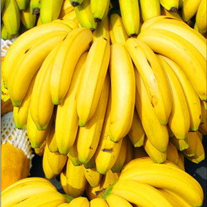 进口香蕉4把/箱（约15kg/箱)